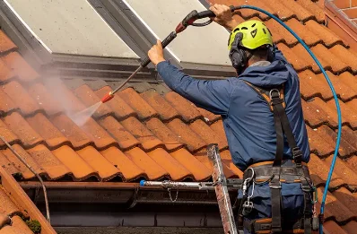 Démoussage et hydrofuge de toiture à Bocognano